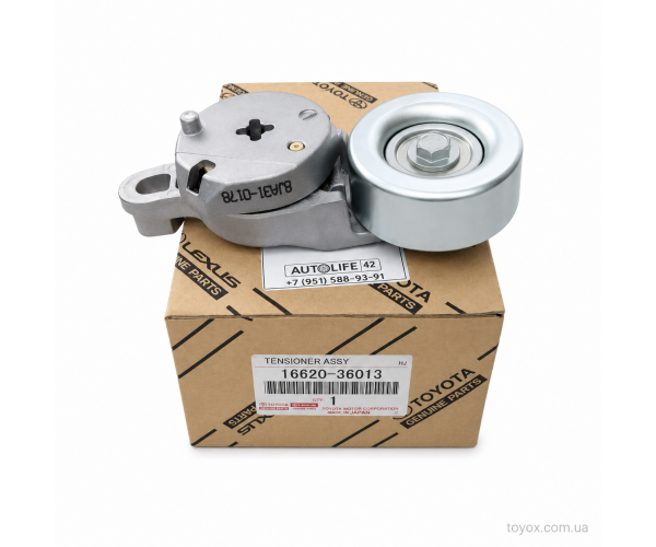 Натягувач приводного ременя Toyota / Lexus 16620-36013 Натягувач приводного ременя Toyota / Lexus 16620-36013